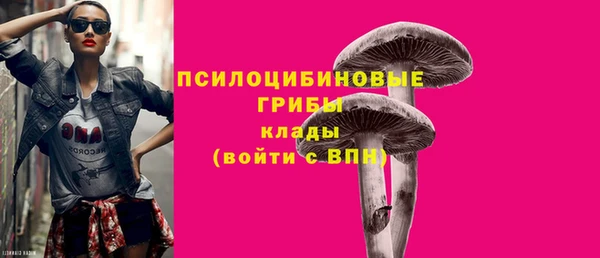 ECSTASY Краснослободск