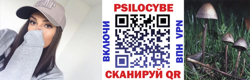 как найти закладки  Чудово  Псилоцибиновые грибы Cubensis 